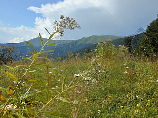 Louky nad Utserou (Gruzie)