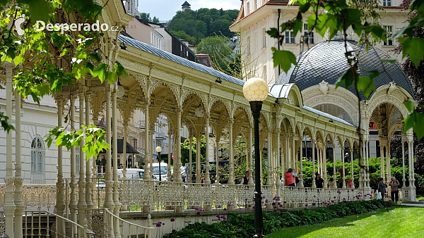 Karlovy Vary (Česká republika)
