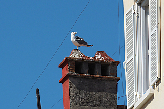 Gibraltar (Velká Británie)