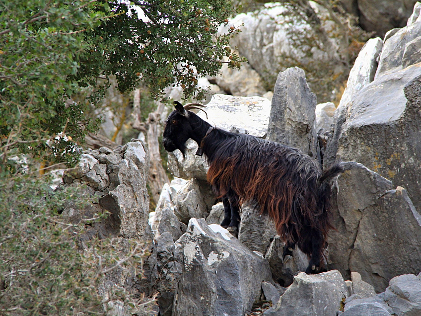 Planina Mesa Lasithi na Krétě (Řecko)