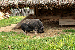 Archeoskanzen Modrá (Česká republika)