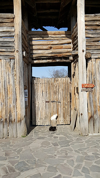 Archeoskanzen Modrá (Česká republika)