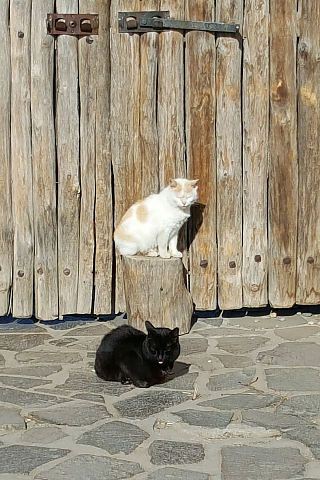 Archeoskanzen Modrá (Česká republika)