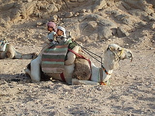 Děti s velbloudem (Egypt)