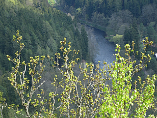 Pohled na Svatošské skály a řeku Ohře