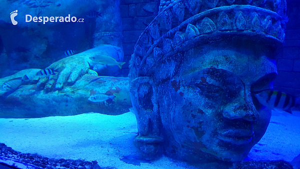 Akvárium Sea Life v Lido di Jesolo (Itálie)