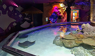 Akvárium Sea Life v Lido di Jesolo (Itálie)