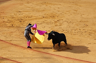 Korida je tradiční zábava v Andalusii (Sevilla - Španělsko)