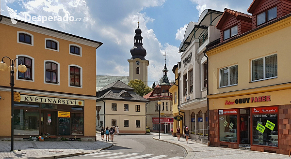 Rožnov pod Radhoštěm (Česká republika)