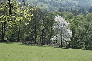 Hrad Hukvaldy (Česká republika)