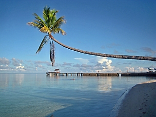 Pláž na ostrově Sulawesi (Indonésie)