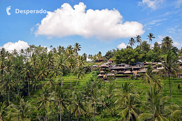 Ostrov Bali (Indonésie)