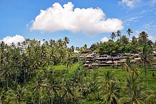 Ostrov Bali (Indonésie)