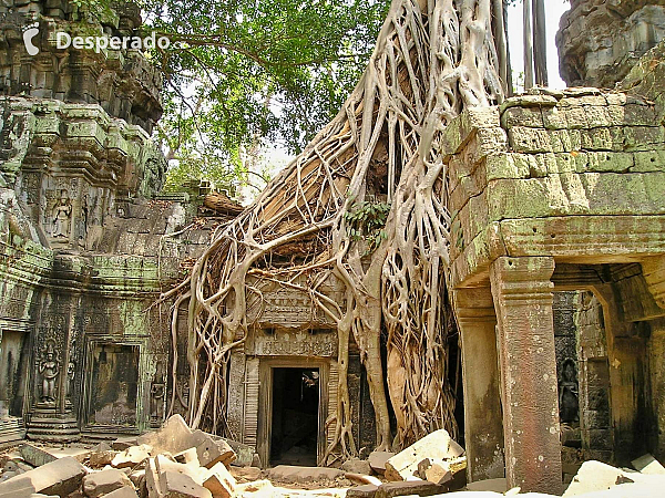 Chrámový komplex Angkor (Kambodža)