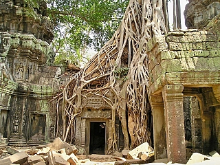 Chrámový komplex Angkor (Kambodža)