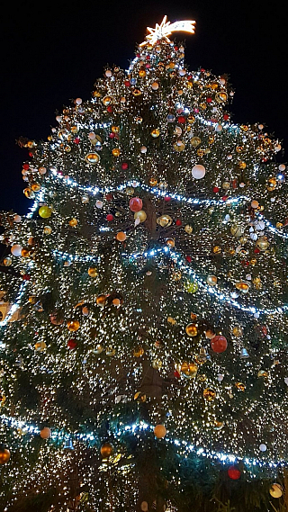 Vánoční strom na Staroměstském náměstí v Praze (Česká republika)