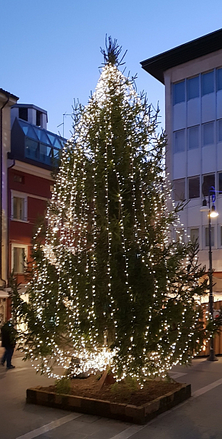 Udine (Itálie)