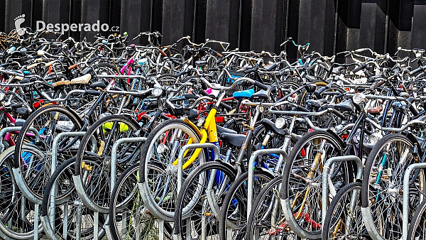 Kolo je v Amsterdamu nejpopulárnějším dopravním prostředkem (Nizozemsko)