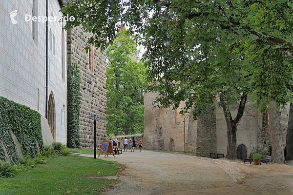 Hrad Zvíkov (Česká republika)