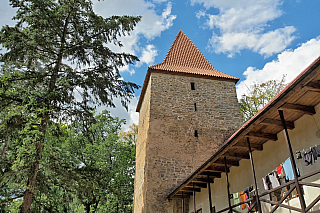 Hrad Zvíkov (Česká republika)