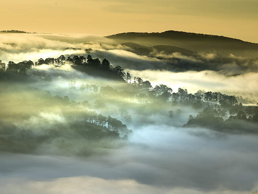 Da Lat (Vietnam)