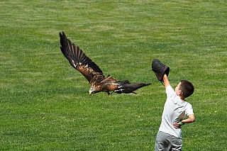 Zámecký park Lednice (Česká republika)