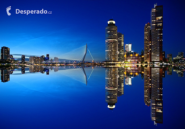 Most Erasmusbrug v Rotterdamu (Nizozemsko)