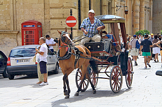 Mdina (Malta)