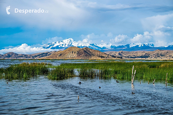 Jezero Titicaca (Bolívie)