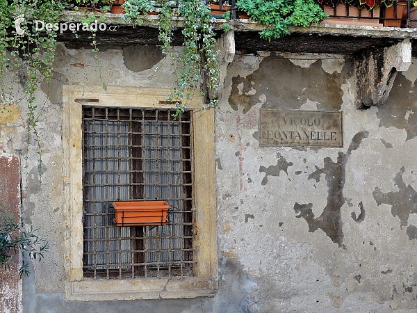 Verona (Itálie)