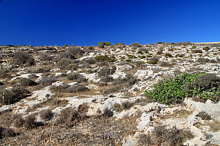 Megalitický chrám Hagar Qim (Malta)