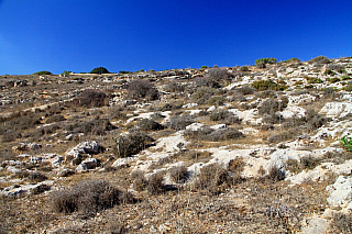 Megalitický chrám Hagar Qim (Malta)