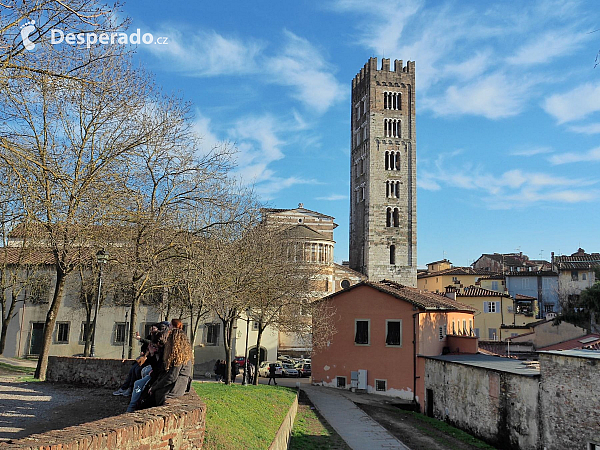 Basilica di San Frediano v Lucca (Itálie)