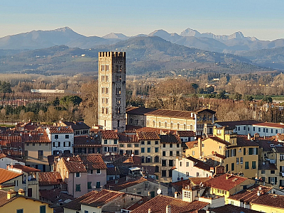 Pohled na Basilica di San Frediano z Torre Guinigi v Lucca (Itálie)