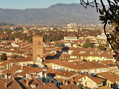 Pohled na Luccu z Torre Guinigi (Itálie)