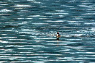 Techendorf a jezero Weissensee v Korutanech (Rakousko)