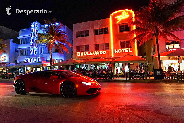 Miami (Florida - USA)