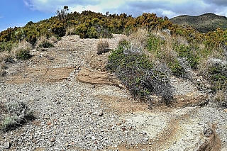 Na Liparských ostrovech holé části kopců střídají husté porosty (Itálie)