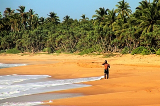Písečná pláž a palmy (Srí Lanka)