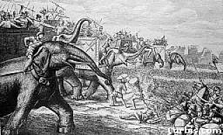 Váleční sloni Kartaginců