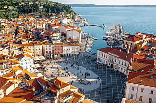 Piran (Chorvatsko)