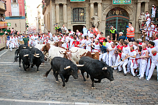Pamplona