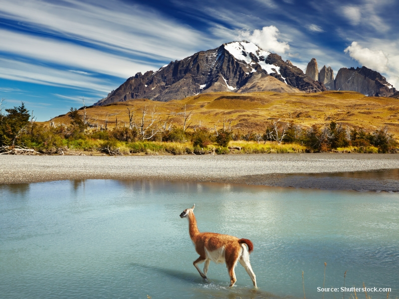 Punta Arenas (Chile)