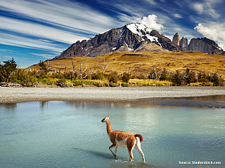 Kapitola 9 – PN Torres del Paine – Punta Arenas