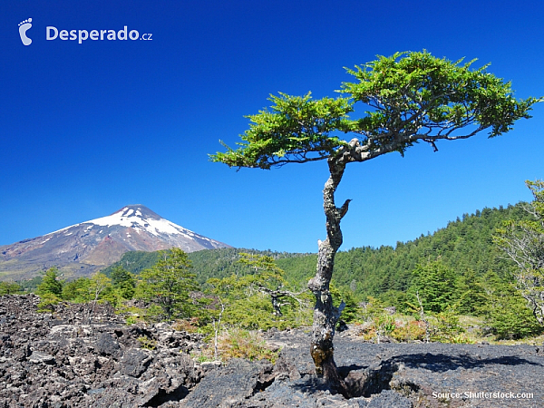 Villarica (Chile)