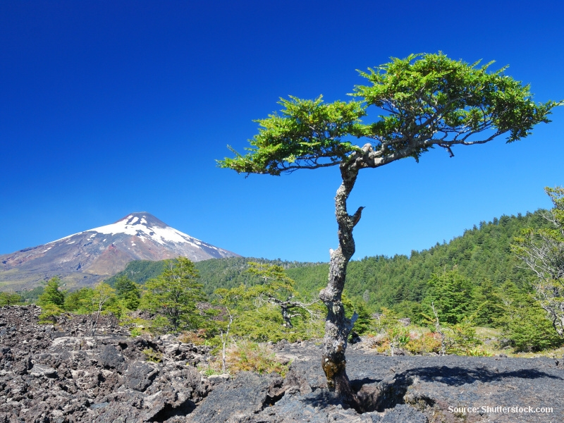 Villarica (Chile)