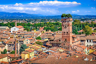Věž Torre Guinigi v Lucca