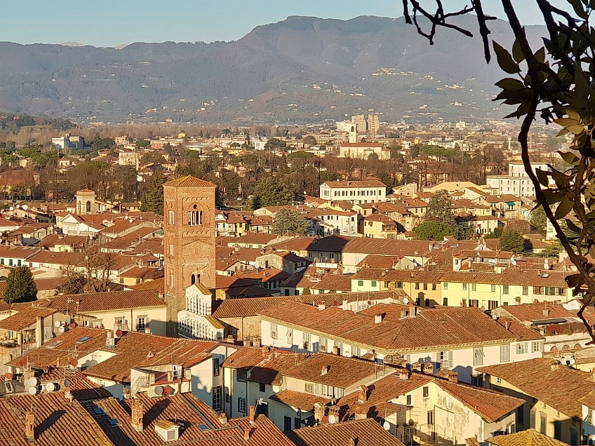 Torre Guinigi v Lucca (Itálie)