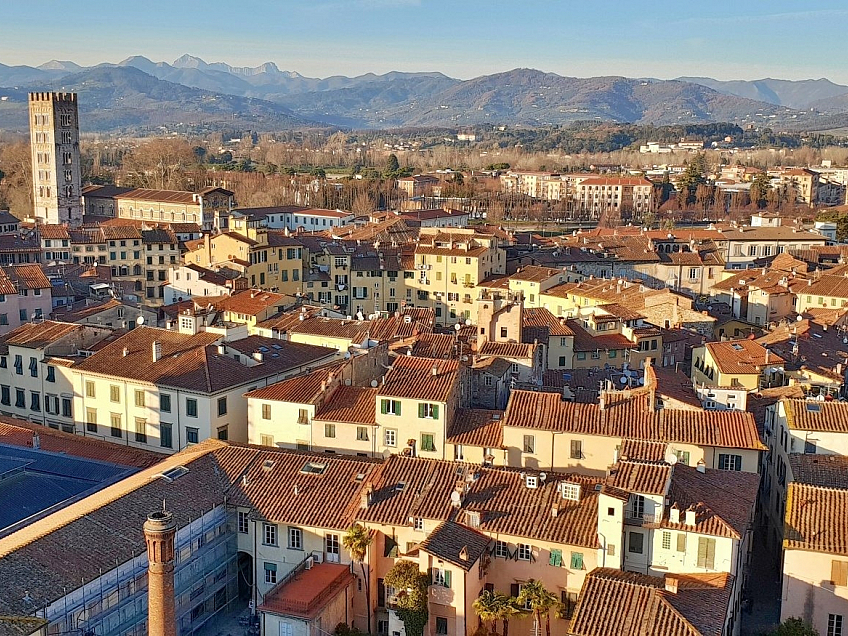 Torre Guinigi v Lucca (Itálie)