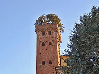 Torre Guinigi má připomínat starou slávu města Lucca